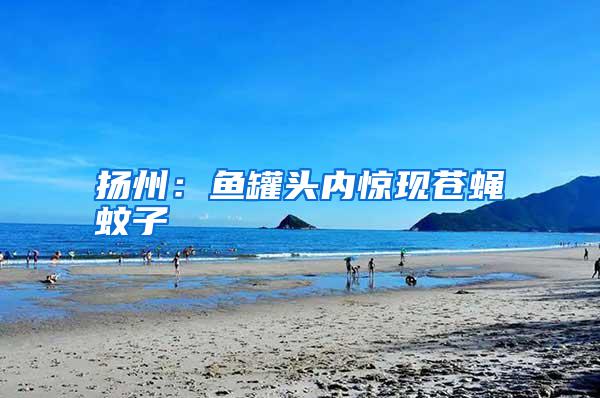 揚州：魚罐頭內驚現蒼蠅蚊子