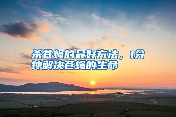 殺蒼蠅的最好方法，1分鐘解決蒼蠅的生命