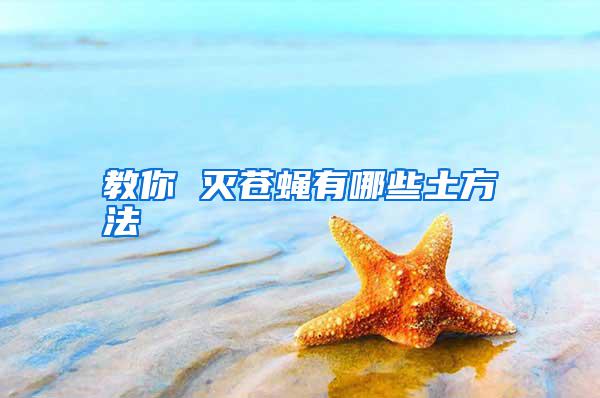 教你 滅蒼蠅有哪些土方法