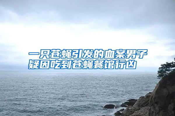 一只蒼蠅引發的血案男子疑因吃到蒼蠅餐館行兇