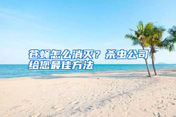 蒼蠅怎么消滅？殺蟲公司給您最佳方法