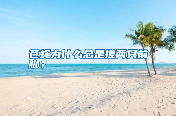 蒼蠅為什么總是搓兩只前腳？