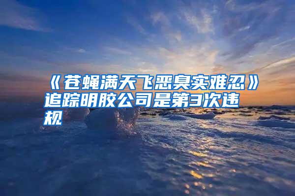 《蒼蠅滿天飛惡臭實難忍》追蹤明膠公司是第3次違規(guī)