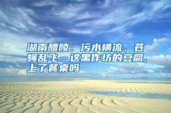 湖南醴陵：污水橫流、蒼蠅亂飛…這黑作坊的豆腐,上了餐桌嗎