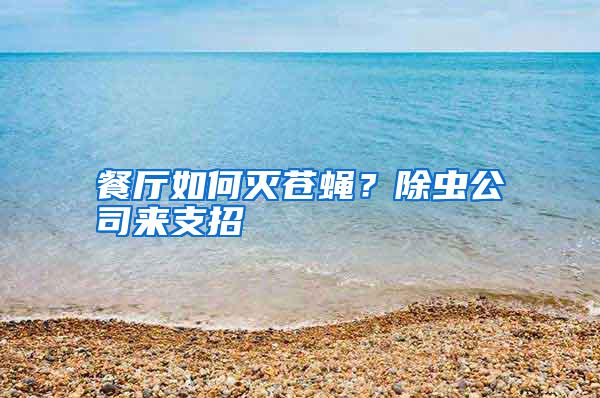 餐廳如何滅蒼蠅？除蟲公司來支招