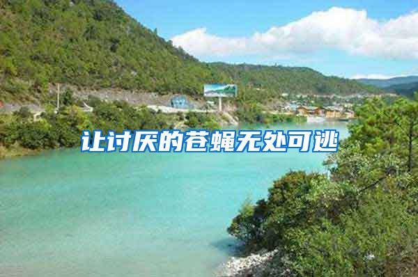 讓討厭的蒼蠅無(wú)處可逃