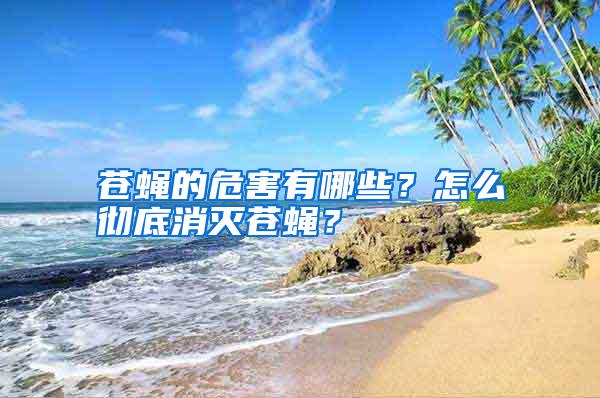 蒼蠅的危害有哪些？怎么徹底消滅蒼蠅？