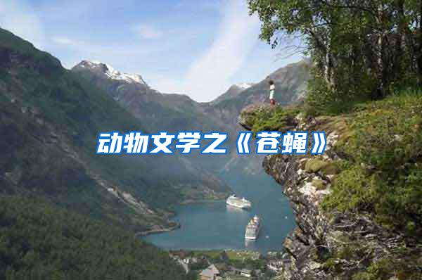 動物文學之《蒼蠅》