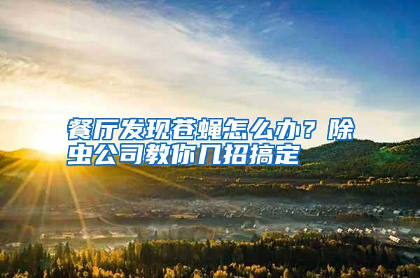 餐廳發(fā)現(xiàn)蒼蠅怎么辦？除蟲公司教你幾招搞定