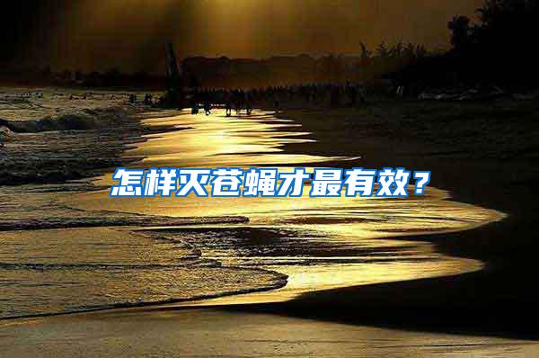 怎樣滅蒼蠅才最有效？