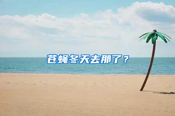蒼蠅冬天去那了？
