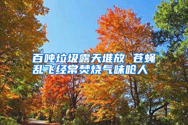 百噸垃圾露天堆放 蒼蠅亂飛經(jīng)常焚燒氣味嗆人