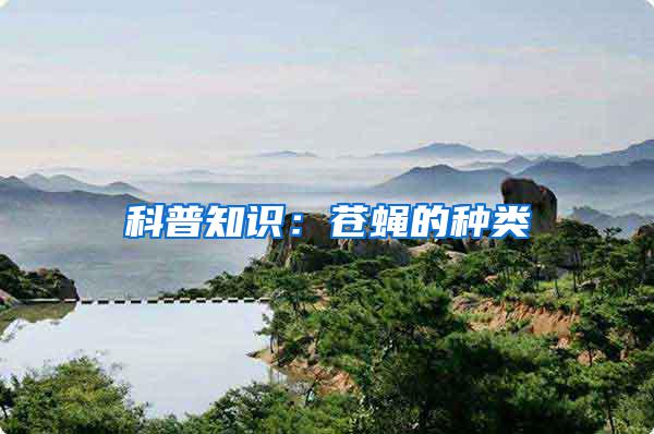 科普知識：蒼蠅的種類