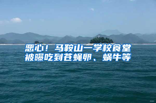 惡心！馬鞍山一學校食堂被曝吃到蒼蠅卵、蝸牛等