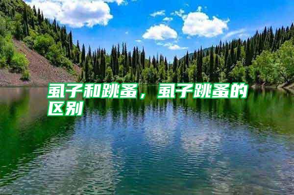 虱子和跳蚤，虱子跳蚤的區別