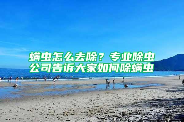 螨蟲怎么去除？專業除蟲公司告訴大家如何除螨蟲