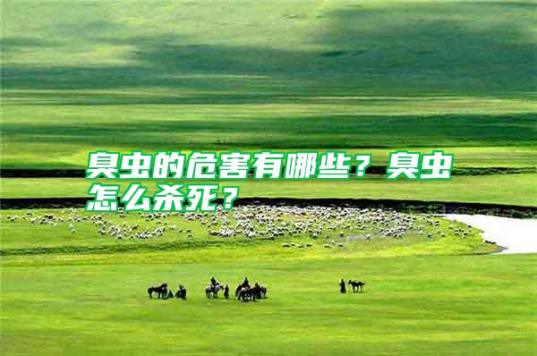 臭蟲的危害有哪些？臭蟲怎么殺死？