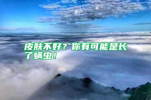 皮膚不好？你有可能是長了螨蟲！