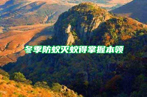 冬季防蟻滅蟻得掌握本領
