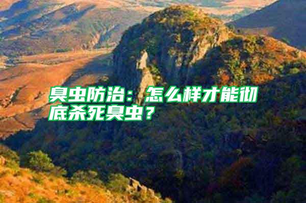 臭蟲防治：怎么樣才能徹底殺死臭蟲？