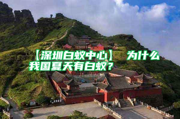 【深圳白蟻中心】 為什么我國夏天有白蟻？