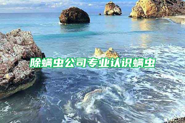 除螨蟲公司專業認識螨蟲