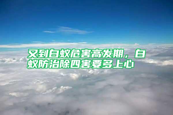 又到白蟻危害高發期，白蟻防治除四害要多上心