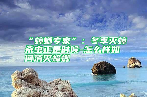 “蟑螂專家”：冬季滅蟑殺蟲正是時候-怎么樣如何消滅蟑螂