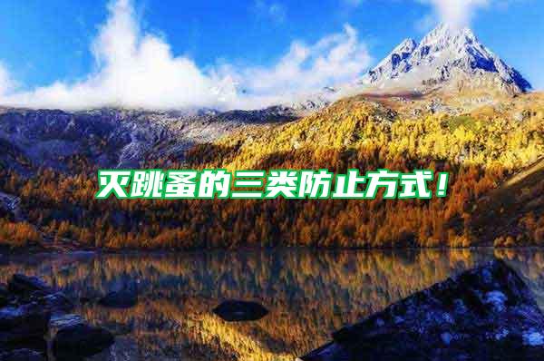 滅跳蚤的三類防止方式！
