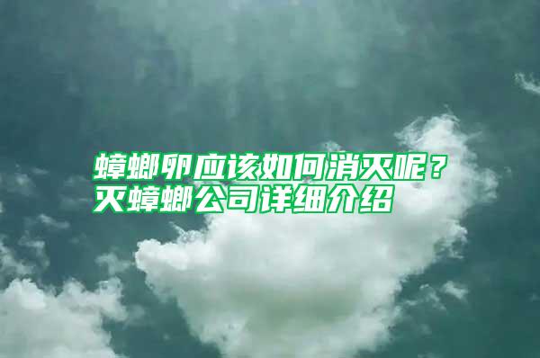 蟑螂卵應(yīng)該如何消滅呢？滅蟑螂公司詳細(xì)介紹