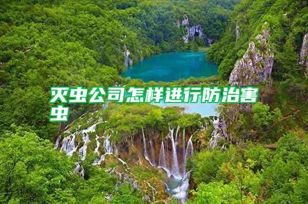 滅蟲公司怎樣進(jìn)行防治害蟲