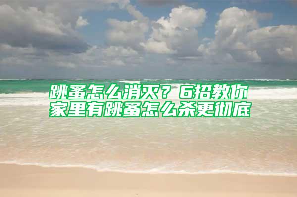 跳蚤怎么消滅？6招教你家里有跳蚤怎么殺更徹底