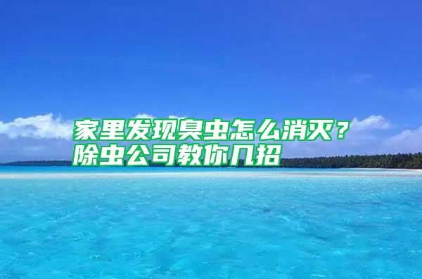 家里發現臭蟲怎么消滅？除蟲公司教你幾招