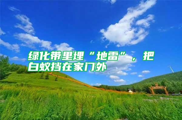 綠化帶里埋“地雷”，把白蟻擋在家門外