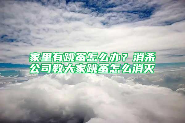 家里有跳蚤怎么辦？消殺公司教大家跳蚤怎么消滅