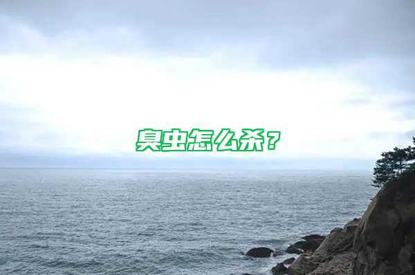 臭蟲怎么殺？