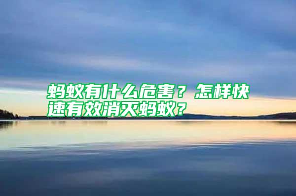 螞蟻有什么危害？怎樣快速有效消滅螞蟻？