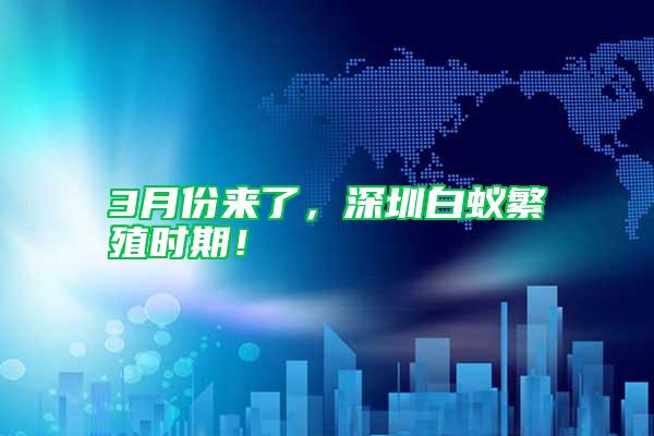 3月份來了，深圳白蟻繁殖時期！