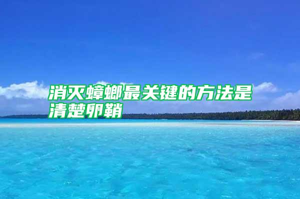 消滅蟑螂最關鍵的方法是清楚卵鞘
