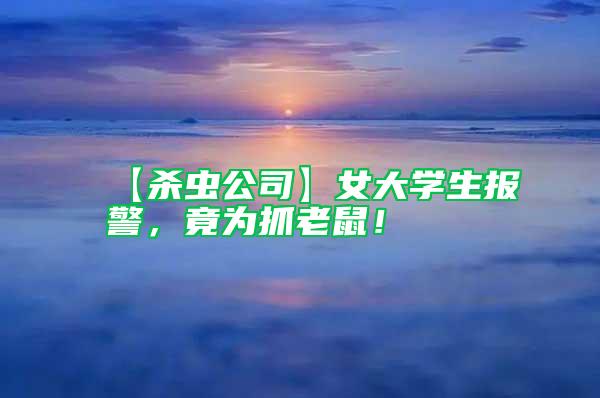 【殺蟲公司】女大學生報警，竟為抓老鼠！