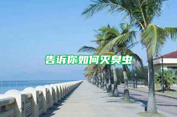 告訴你如何滅臭蟲