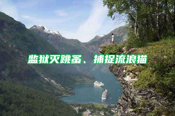 監(jiān)獄滅跳蚤、捕捉流浪貓