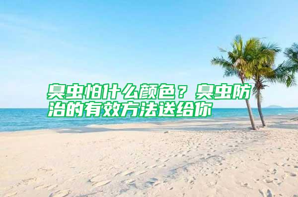 臭蟲怕什么顏色？臭蟲防治的有效方法送給你