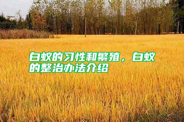 白蟻的習性和繁殖，白蟻的整治辦法介紹