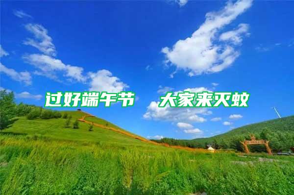 過好端午節  大家來滅蚊