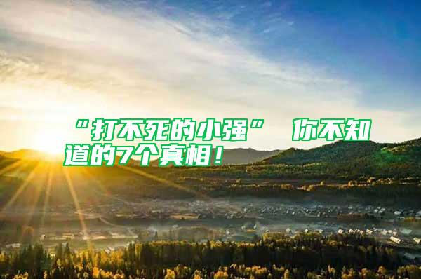 “打不死的小強(qiáng)” 你不知道的7個(gè)真相！