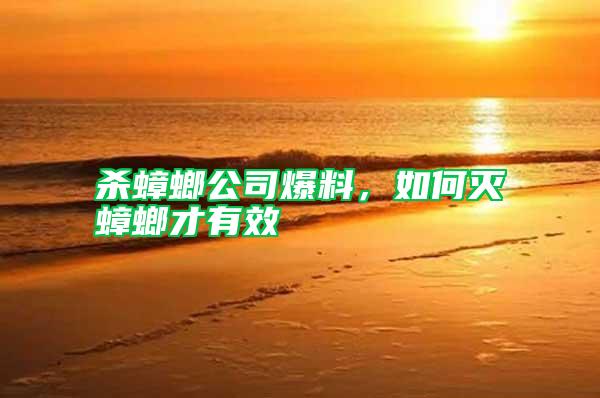 殺蟑螂公司爆料，如何滅蟑螂才有效