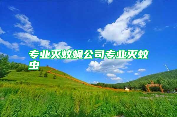 專業滅蚊蠅公司專業滅蚊蟲