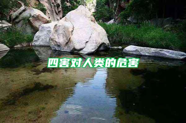 四害對(duì)人類的危害