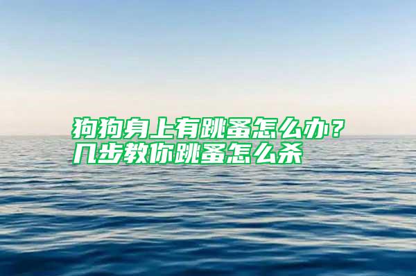 狗狗身上有跳蚤怎么辦？幾步教你跳蚤怎么殺